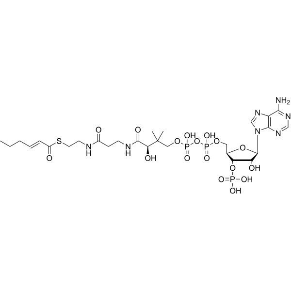 (2E)-Hexenoyl-CoA (Hex-2-trans-enoyl-CoA) 10018-93-6